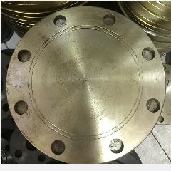 Flange Buta 12″