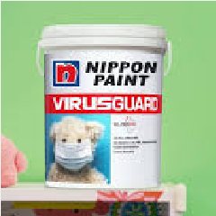 NP VirusGuard 5L Accent