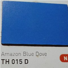 TACO HPL TH 015 D Amazon Blue Dove