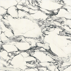 AICA Cerarl XKAF-14161-ZMN Pure White Arabe.