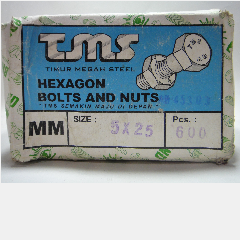 Baut + Mur Galv TMS M5 x 25mm