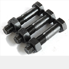 Baut GR 8.8 Metrik TMS M12 x 100mm (35)