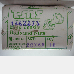 Baut GR 8.8 Metrik TMS M20 x 65mm (15)