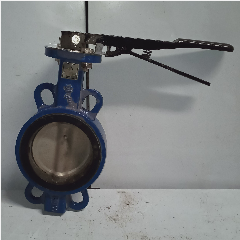 Butterfly Valve EVOLVE 4″