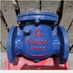 Check Valve QR 2-1/2″
