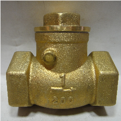 Check Valve DCOTA 1″