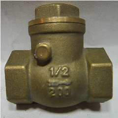 Check Valve DCOTA 1-1/2″