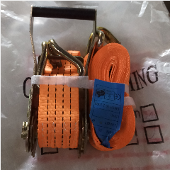 FISCH Cargo Lashing Belt 2″ x 2ton x 5m
