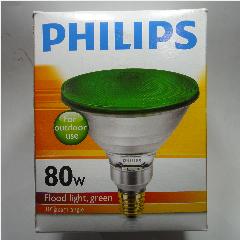 PHILIPS Outdoor Reflector PAR38 80w Gree(12)