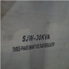Stabilizer / Stavol INS Digital SJW-30kVA 3P