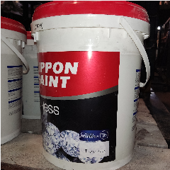 NP Flawless/Easywash 20L Tint