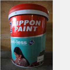 NP Spotless Plus 20L Sheen Tint