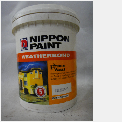 NP Weatherbond 20L 1001 Brilliant White