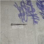 Paku Lokal 3″ (7cm)