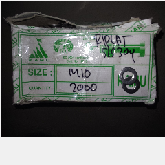 Ring Plat SS M10