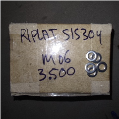 Ring Plat SS M6