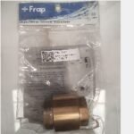 FRAP IFv.322.06 Brass Check Valve 1″ (54)