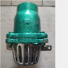 Besi Foot Klep MIZU 2″ 50mm Drat