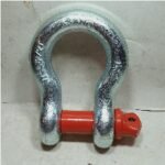 Segel Omega ASANO G209 22mm 7/8″ 6-1/2T