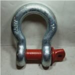 Segel Omega ASANO G209 32mm 1-1/4″ 12T @10pc