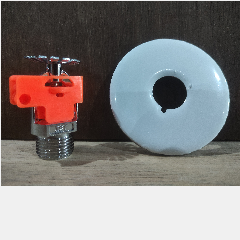 Head Sprinkler Pendant ZST