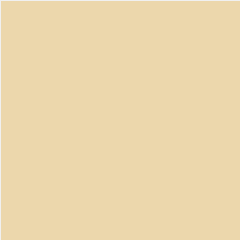 TACO HPL TH 030 AA Desert Beige