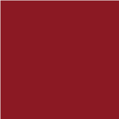 TACO HPL TH 032 AA New Maroon
