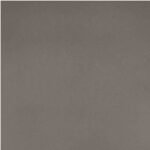 TACO HPL TH 200 AA Silver Charm