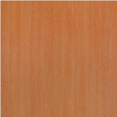 TACO HPL TH 265 B New Canadian Maple [DC]