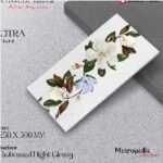 Keramik 25x50 ANTARES Citra Fiore