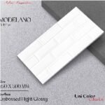 Keramik 25x50 ANTARES Modelano White