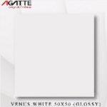 Keramik 50x50 AGATTE Venus White