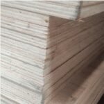 Triplex MATAHARI 12mm UTY