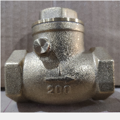 Check Valve UNNU CV 1″ (5/40)