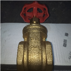 Gate Valve UNNU GV 2-1/2″ (2/8)