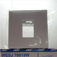 PANASONIC WESJ 78019W (100)