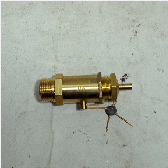 Safety Valve WIPRO WN 5323 1/2″ (30)