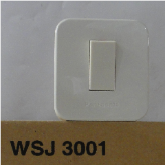 PANASONIC WSJ 3001 (20)