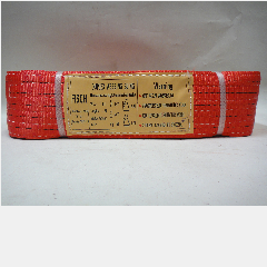 Webbing Sling FISCH 5ton x 10m Red