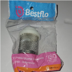 Filter BESTFLO BFR 3/4″ (10/80)