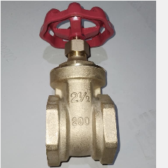 Gate Valve BESTFLO BGV 2-1/2″ (2/8)