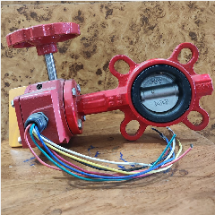 Branch Control Valve 2-1/2″