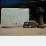 Baut GR 8.8 Metrik TMS M16 x 65mm (25)