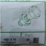 Baut GR 8.8 Metrik TMS M20 x 75mm (20)
