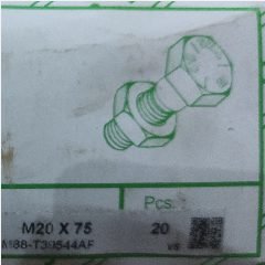 Baut GR 8.8 Metrik TMS M20 x 75mm (20)