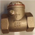 Check Valve BESTFLO BCV 1″ (6/48)