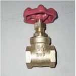 Gate Valve BESTFLO BGV 3/4″ (6/72)