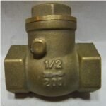 Check Valve DCOTA 1-1/2″