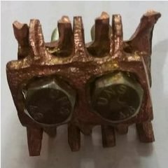 Kuku Macan INS Tembaga 50/70