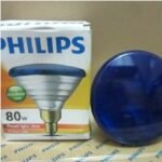 PHILIPS Outdoor Reflector PAR38 80w Blue(12)